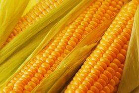 Экспорт кукурузы из Украины вырос на 21,5% - до 7,95 млн тонн