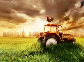 Агрохолдинг HarvEast с начала года закупил сельхозтехники на 25 млн долл.
