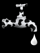 "Астарта" в 2012г планирует увеличить производство молока на 21%
