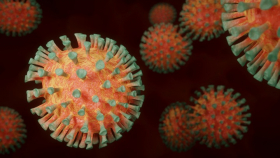 В Украине пока не выявлен британский штамм коронавируса - Ляшко
