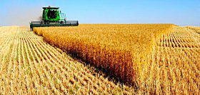 Минэкономики прогнозирует урожай зерновых в Украине в 2021 почти на 15% выше прошлогоднего