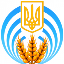 Согласно прогнозам Института аграрной экономики, сбор зерновых в Украине в 2021 составит 70,7 млн тонн