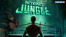 Boxing Jungle — самые жаркие бои на XSPORT+