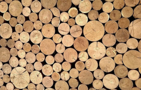 Продавать необработанную древесину заграницу не очень разумно – еврокомиссар