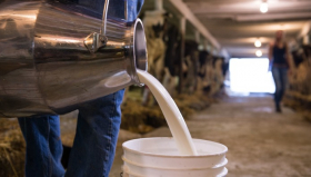 Ассоциация производителей молока заявляет о росте себестоимости молока в стране