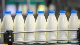 К августу Украина вывела экспорт молочной продукции на довоенный уровень