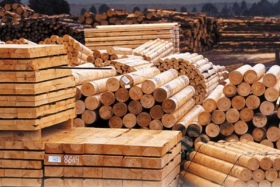 Деревообработчики Украины просят не вводить лицензирование экспорта дров