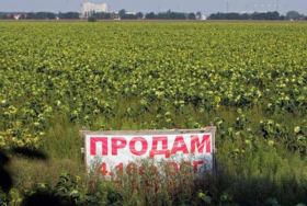 325 тыс. га сельхозземель было продано в Украине с момента открытия рынка земли - Нивьевский