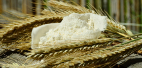 Українські борошномели повідомляють про низьку якість пшениці нового врожаю